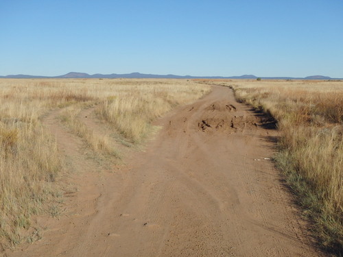 GDMBR: A puddle is drying out, we rode straight through.